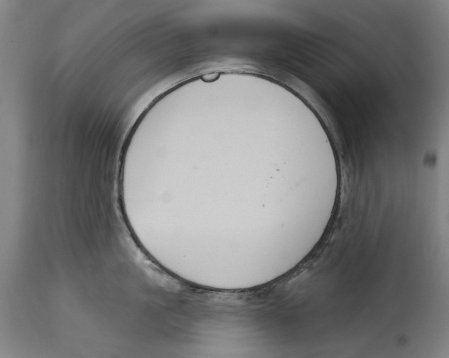 X0000114580861200911161308