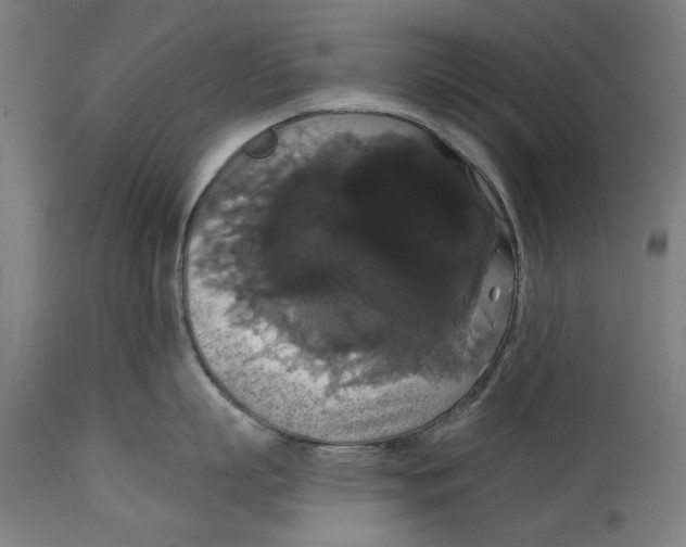 X0000114580863200911161308