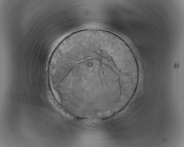 X0000114580864200911161308