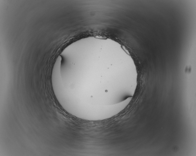 X0000114580865200911161307