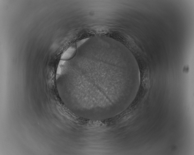 X0000114580866200911161307