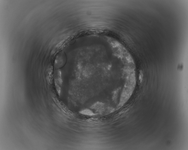 X0000114580867200911161307