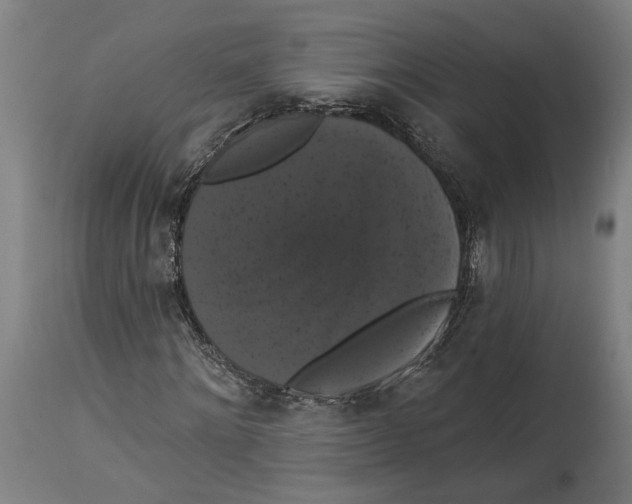 X0000114580868200911161307