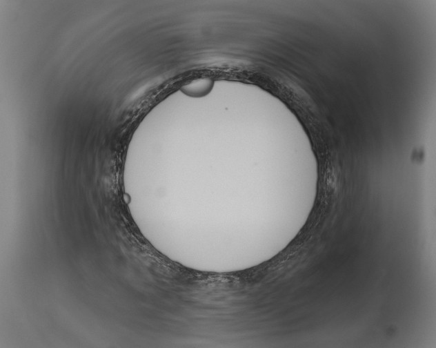 X0000114580869200911161307