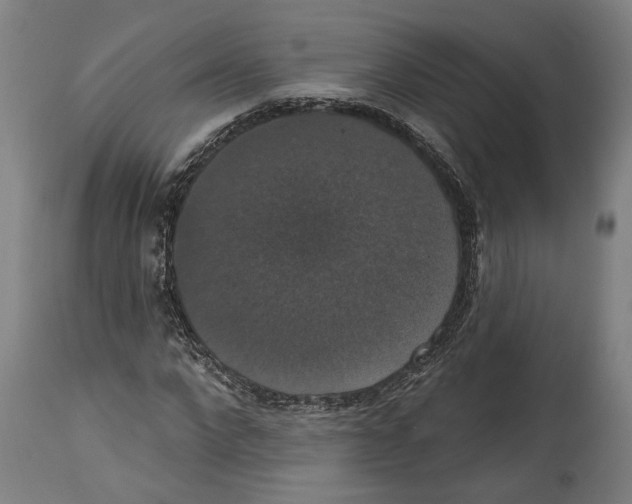 X0000114580872200911161307