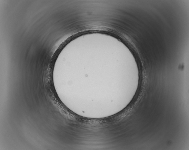 X0000114580875200911161307