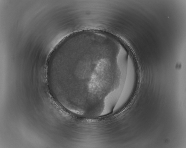 X0000114580878200911161307