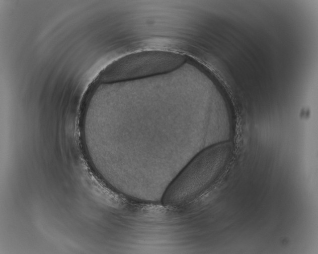 X0000114580880200911161307