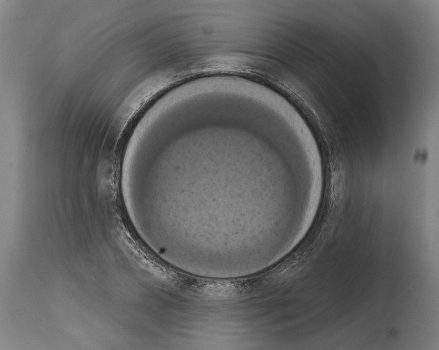 X0000114580882200911161307