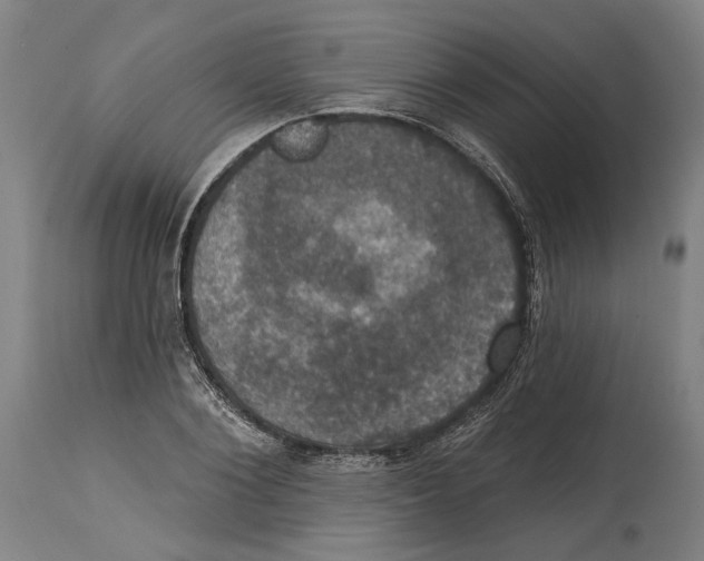 X0000114580884200911161307