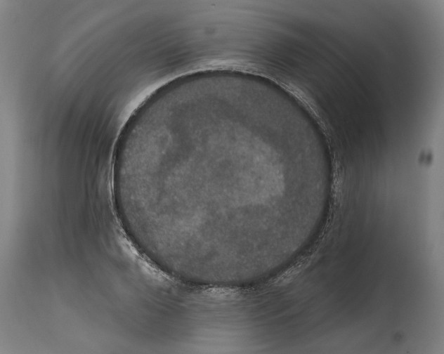 X0000114580888200911161307