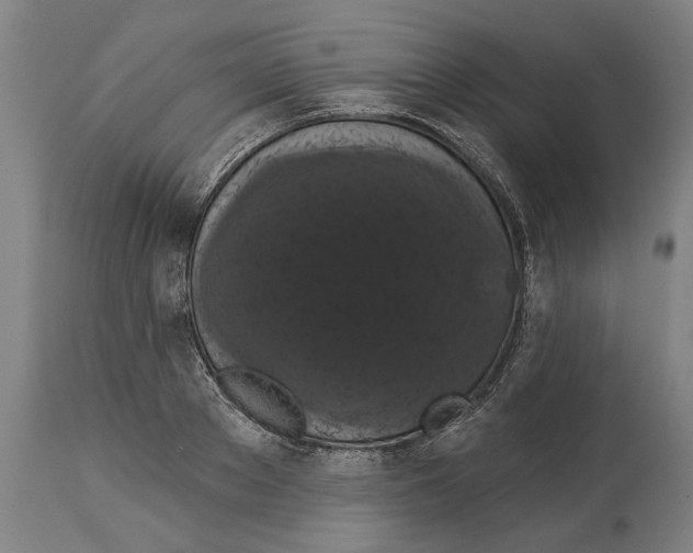 X0000114580889200911161307