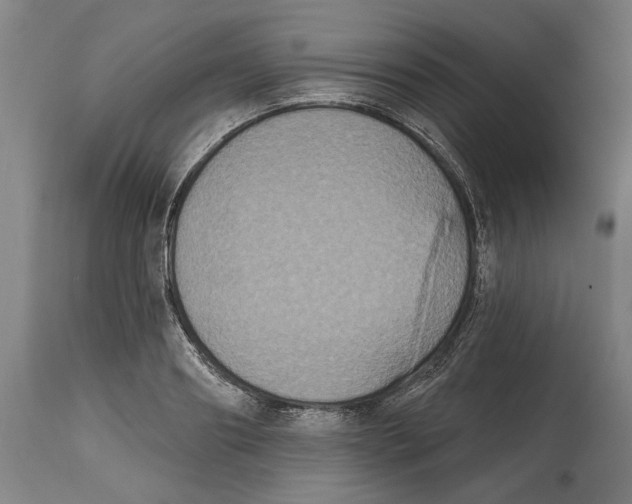 X0000114580890200911161307