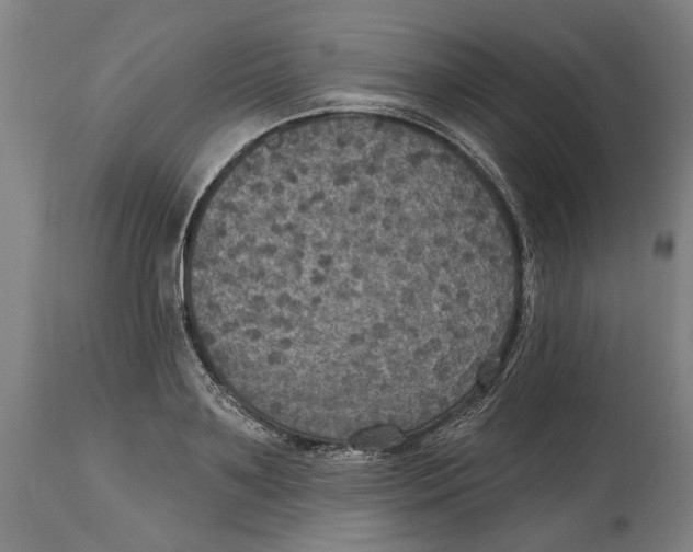 X0000114580891200911161307