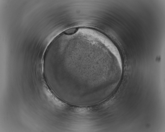 X0000114580892200911161307