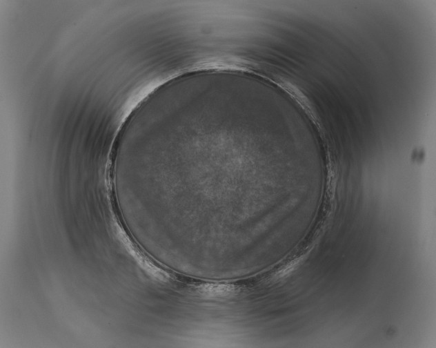 X0000114580893200911161307