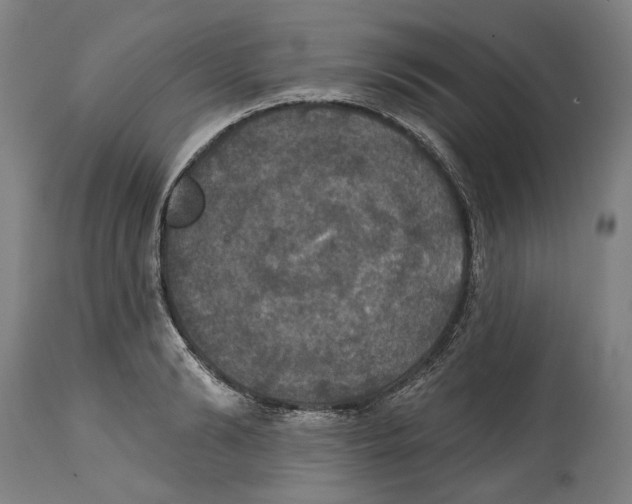 X0000114580894200911161307