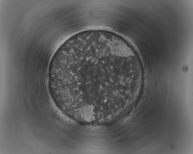 X0000114580895200911161307