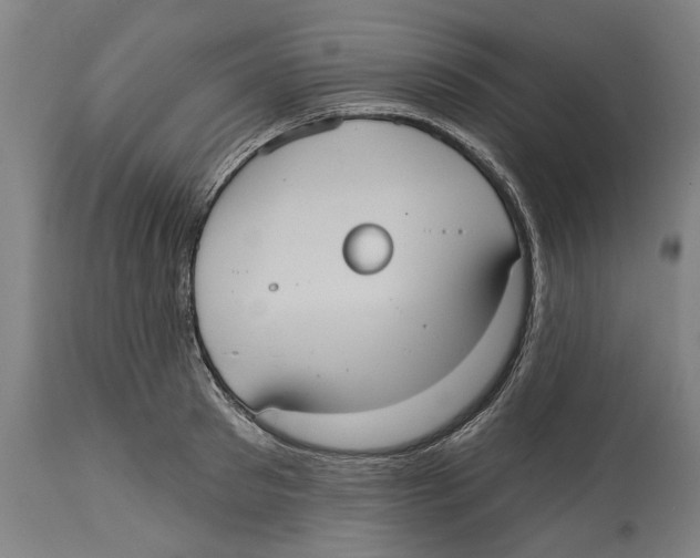 X0000114580897200911161307