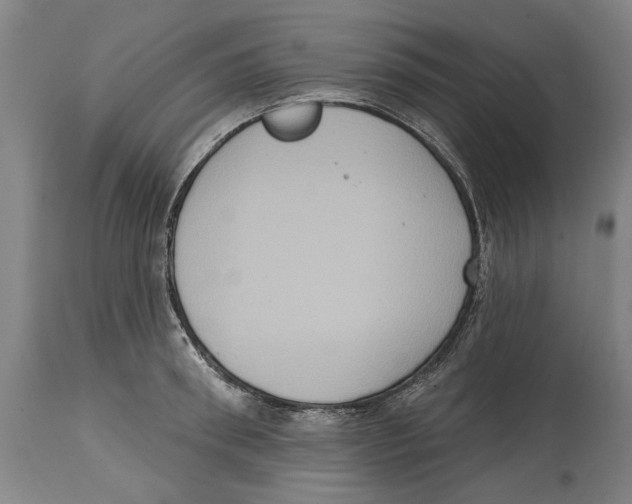 X0000114580898200911161307