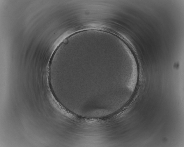 X0000114580899200911161307