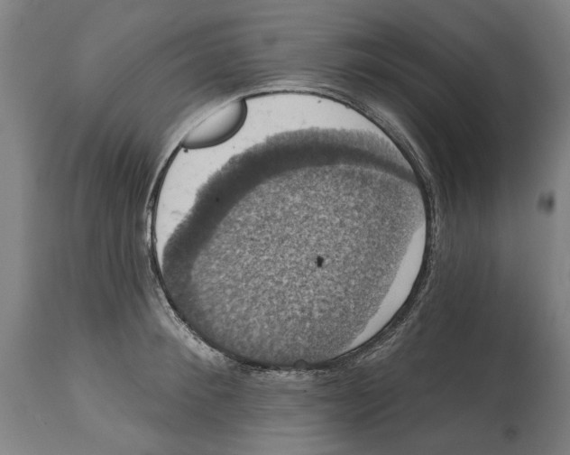 X0000114580900200911161307