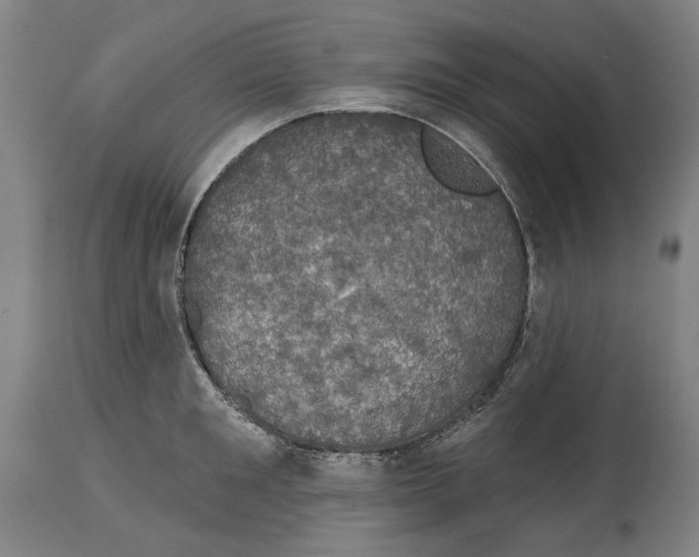 X0000114580901200911161307