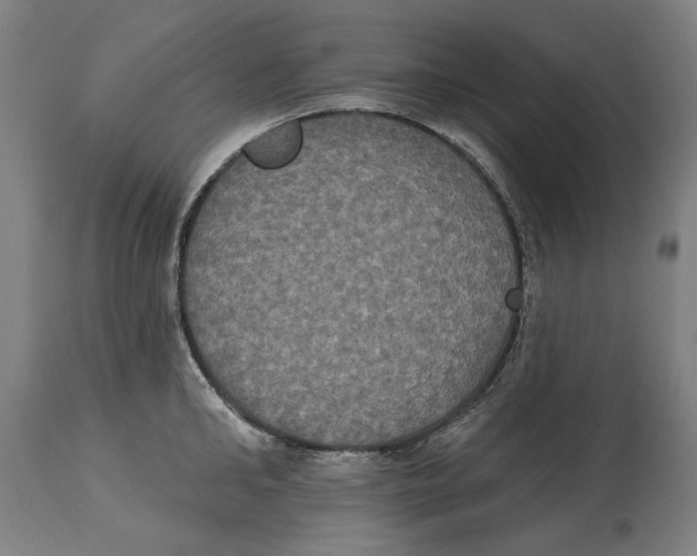 X0000114580902200911161307