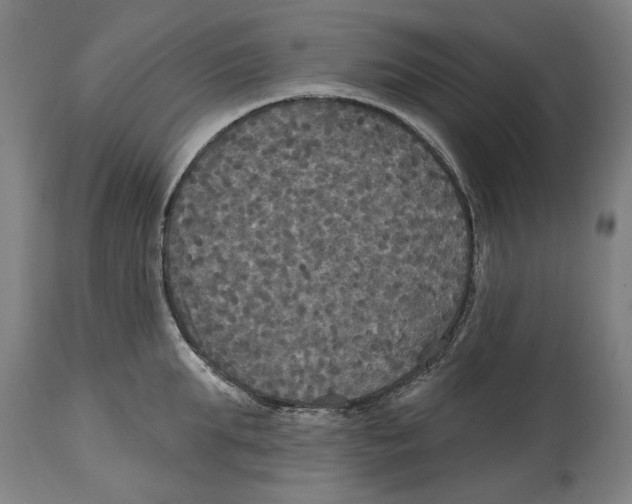 X0000114580903200911161307