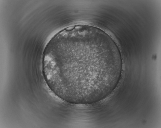 X0000114580904200911161307