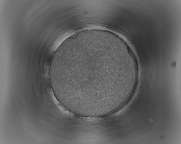 X0000114580905200911161307