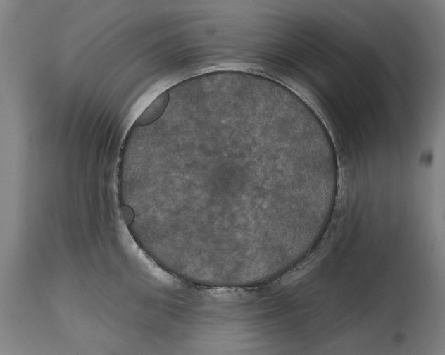 X0000114580906200911161307