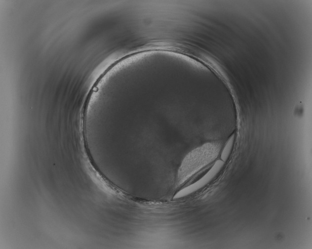 X0000114580907200911161307