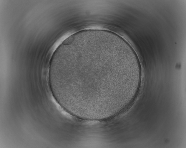 X0000114580909200911161306