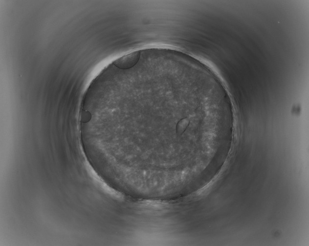 X0000114580910200911161306