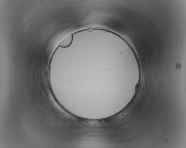 X0000114580911200911161306