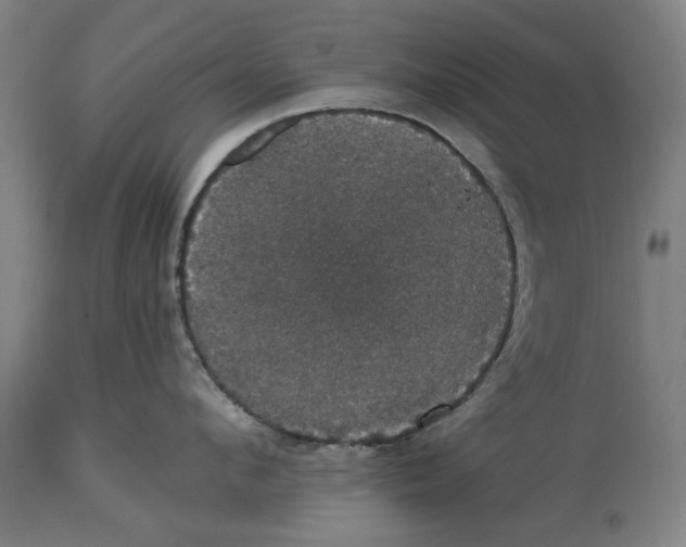 X0000114580912200911161306