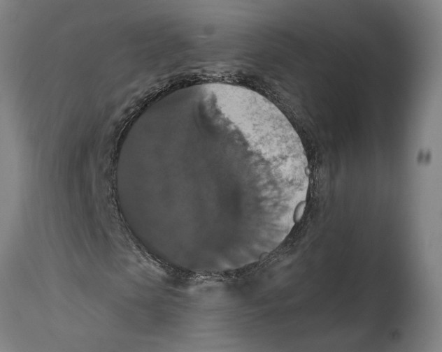 X0000114580913200911161306