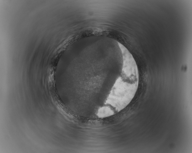 X0000114580914200911161306