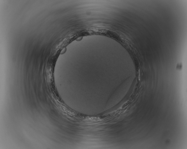 X0000114580915200911161306