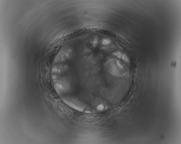 X0000114580917200911161306