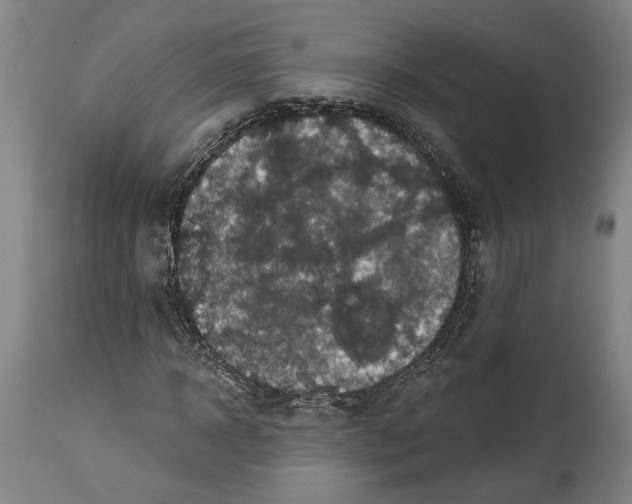 X0000114580918200911161306