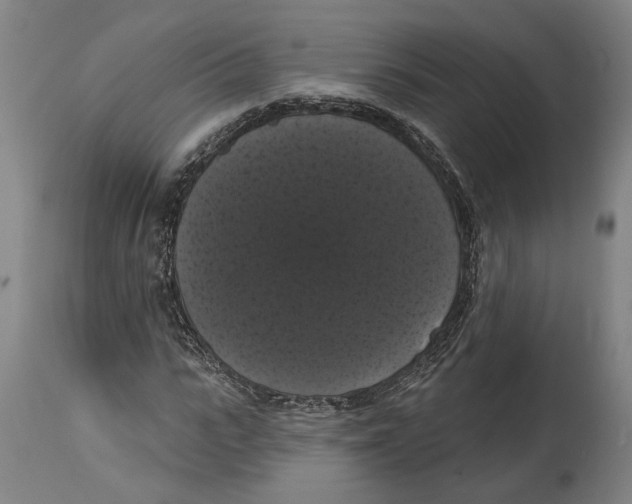 X0000114580919200911161306