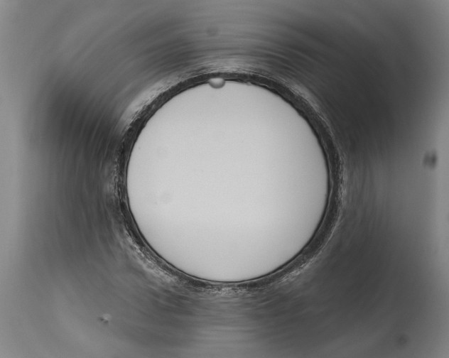 X0000114580922200911161306