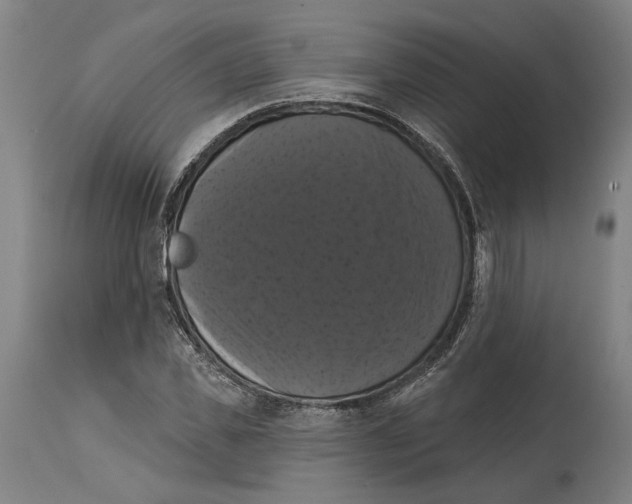 X0000114580925200911161306