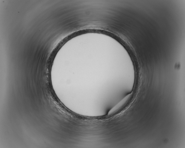 X0000114580926200911161306