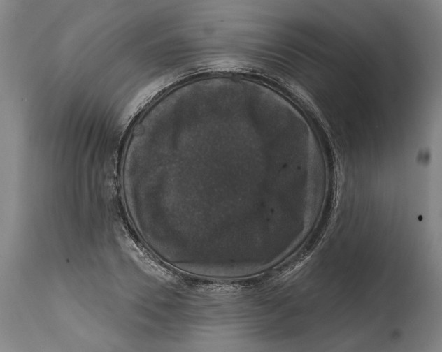 X0000114580930200911161306