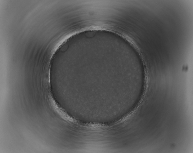 X0000114580934200911161306