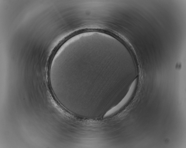 X0000114580935200911161306