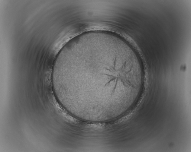 X0000114580937200911161306